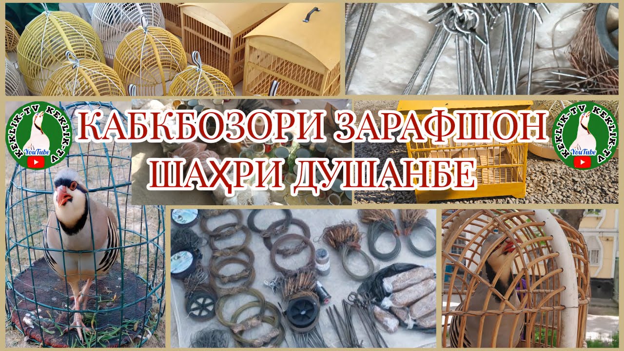 Кабкбозори Зарафшон ш. Душанбе 23.11.2024