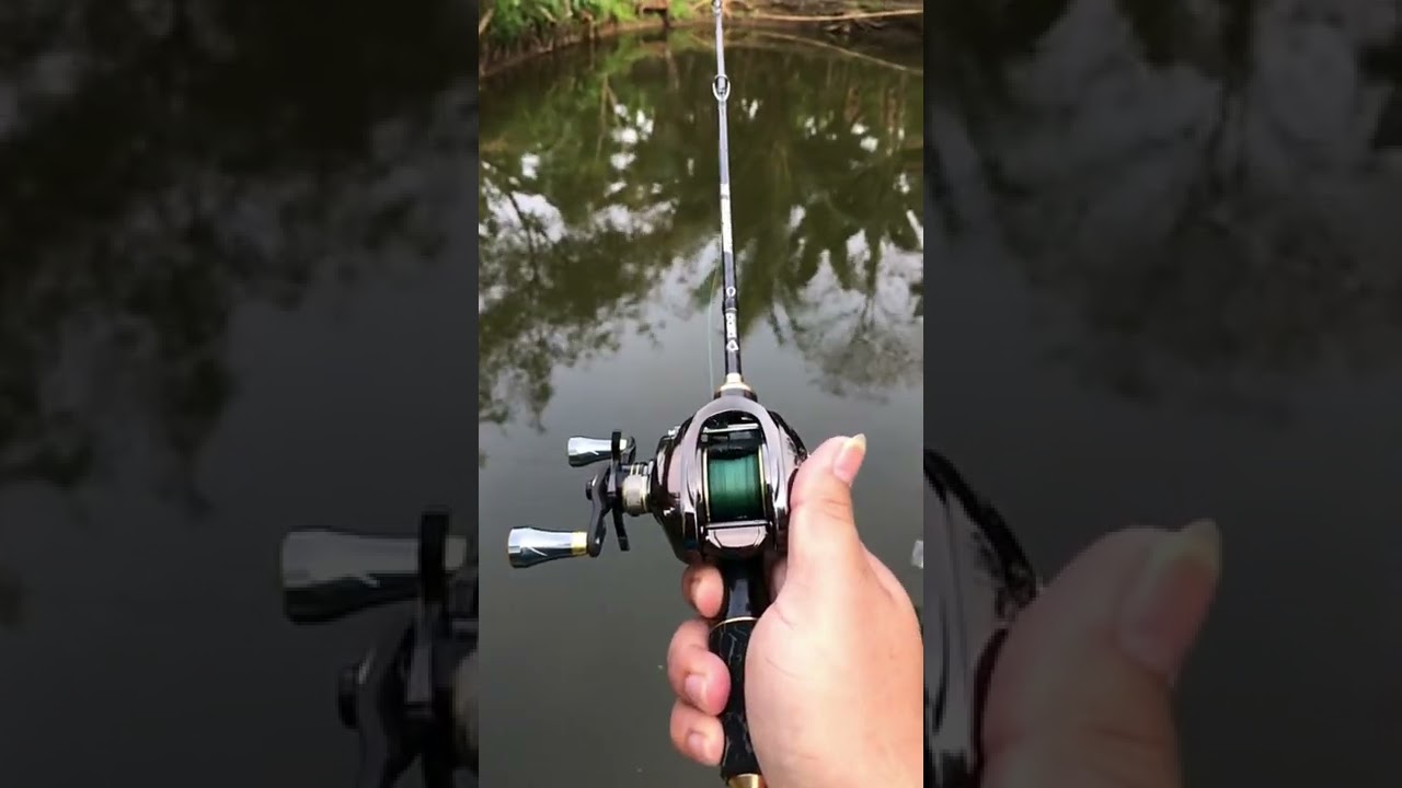 Daido Predator BC 