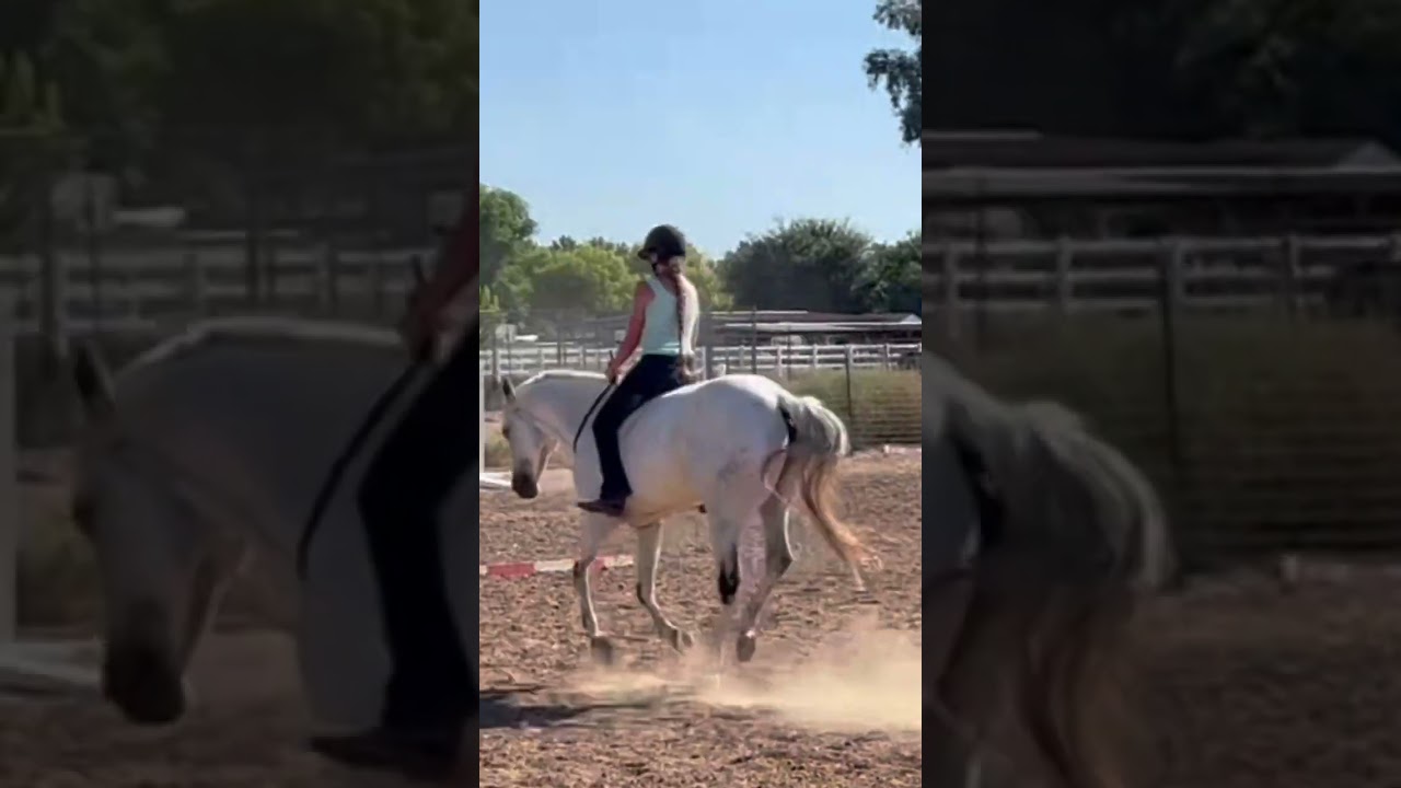 Fire’s first ride in over two months! 