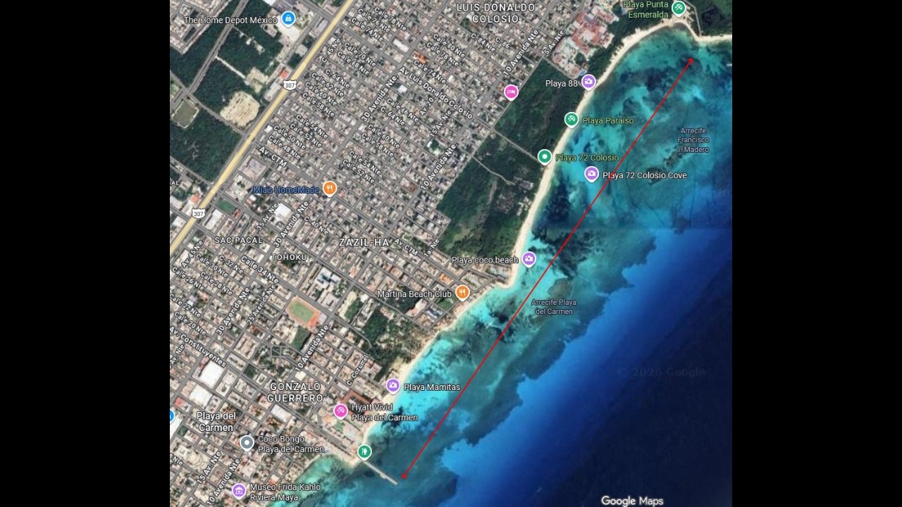 🌿🌊SARGASSUM ARRIVAL ALERT 2026 - 👉Mexico - Playa del Carmen