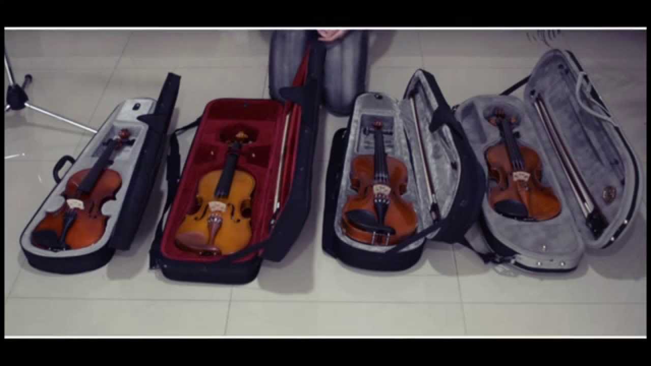 Diferencias entre precios de violines 1/2