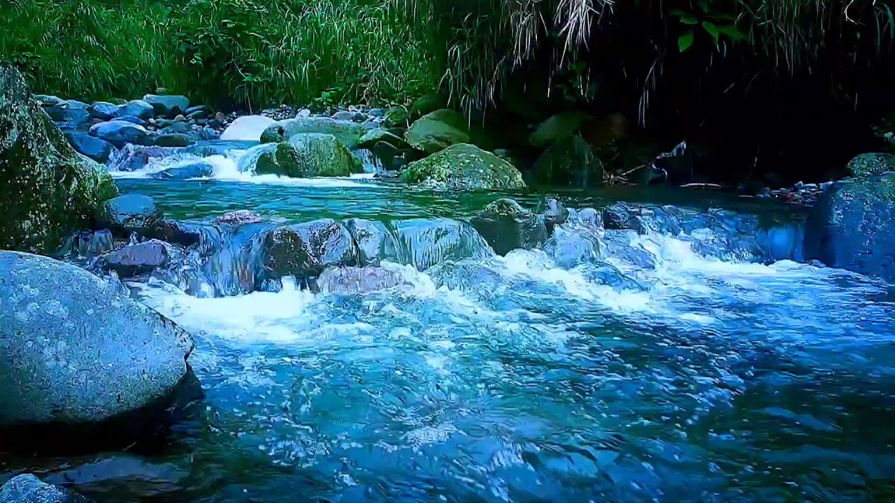 🌊 Relaxing River ASMR Sounds for Deep Sleep, Stress Relief & Anxiety Healing