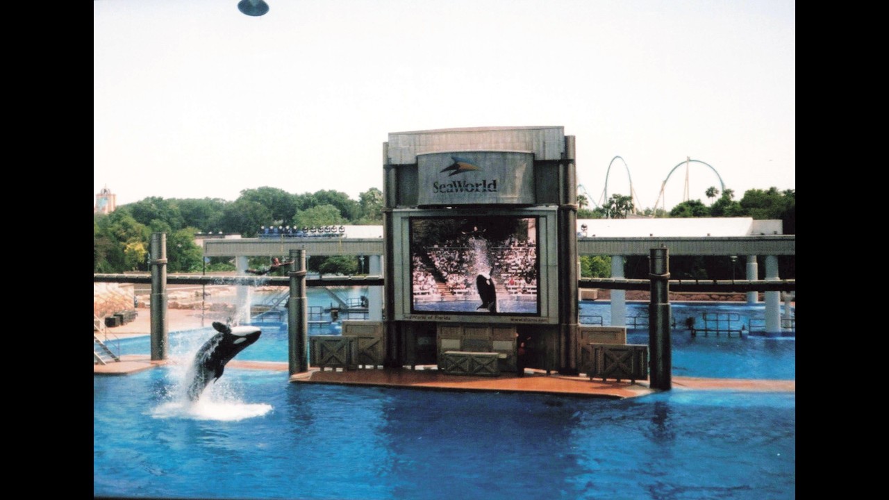 Seaworld 2001 Orlando - inc Shamu and Clyde and Seamore pre show