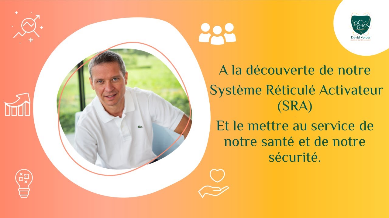 Le Syst&egrave;me R&eacute;ticul&eacute; Activateur (SRA)