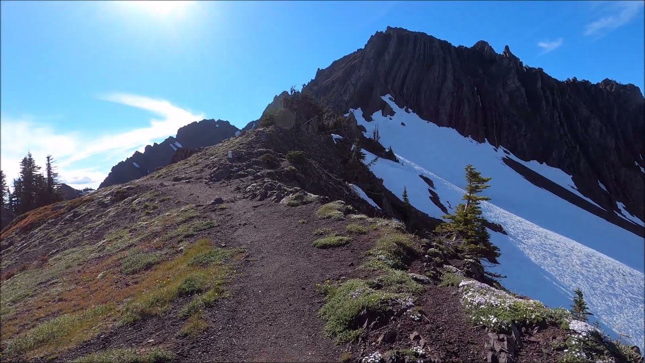 Switchback Trail - Klahhane Ridge - June 17, 2021