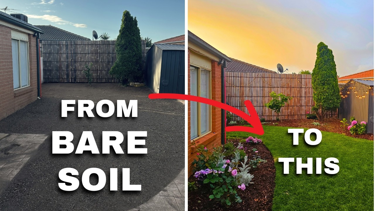 Starting a Garden From Scratch in Melbourne (Real Results)