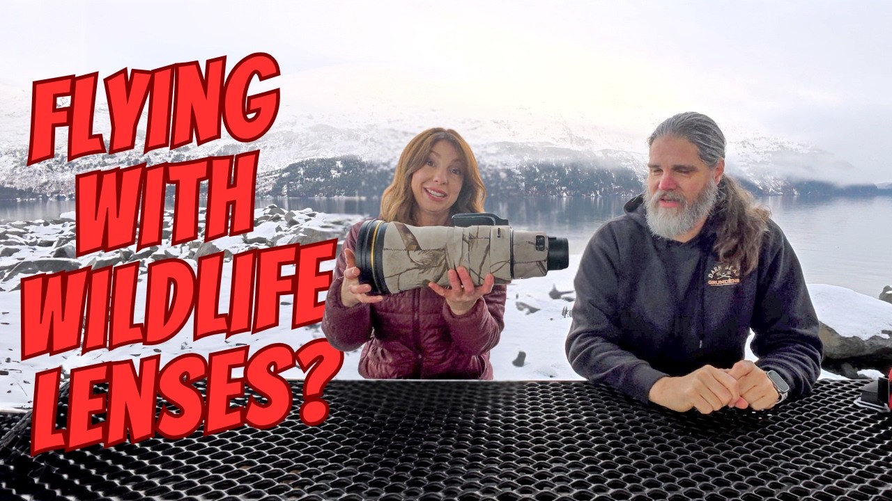 Flying with Large Wildlife Lenses without the Hassle - Tips from Wildlife Photography Guide