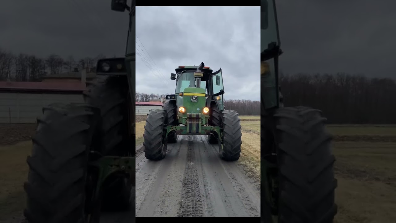 Jeleń na wolnym wybiegu:) #agriculture