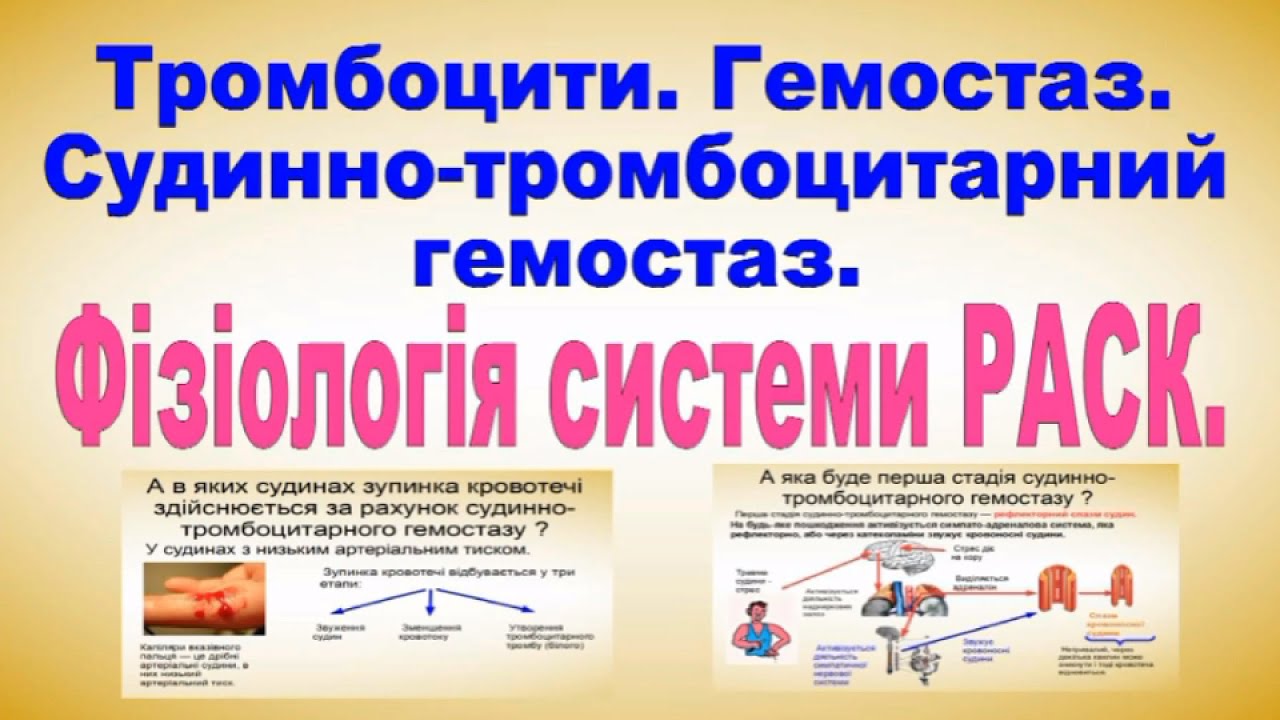 Тромбоцити. Гемостаз. Фізіологія системи РАСК. Фізіологія