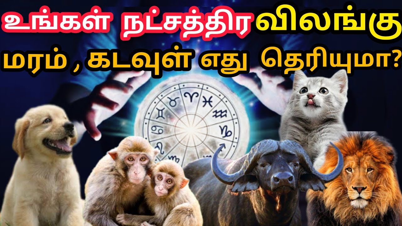 உங்கள் நட்சத்திர விலங்கு எது தெரியுமா | Know Your Birth Star God | Know Your Birth Star Animal