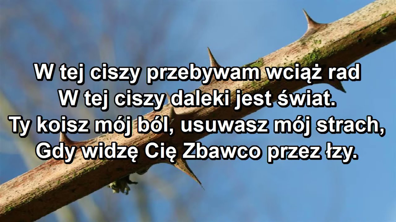 Golgoto - to nie gwoździe Cię przybiły, lecz mój grzech ( W tej ciszy przebywam wciąż rad)