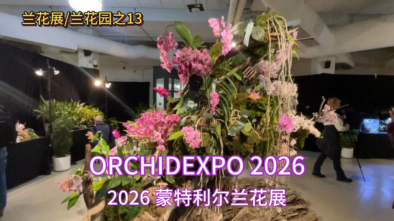 兰花展/兰花园之13 ORCHIDEXPO 2026 蒙特利尔兰花展 Mar 21-22 2026