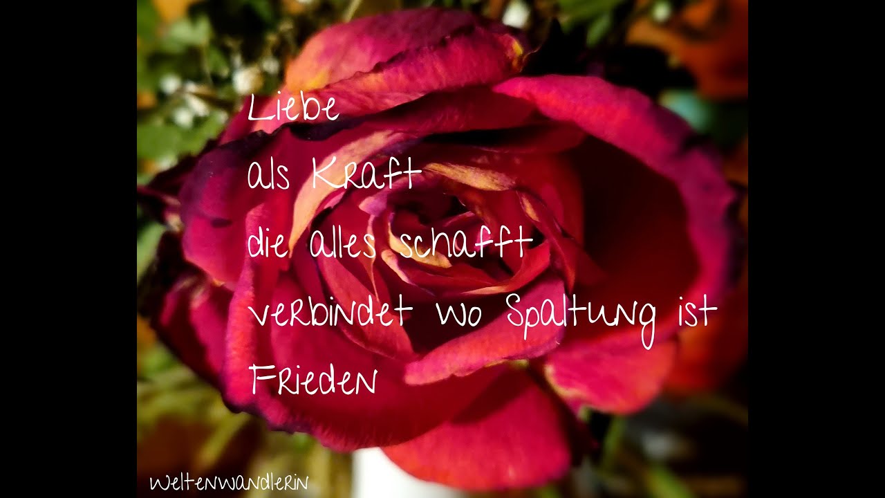 Höre auf dein Herz, es kennt den Weg.