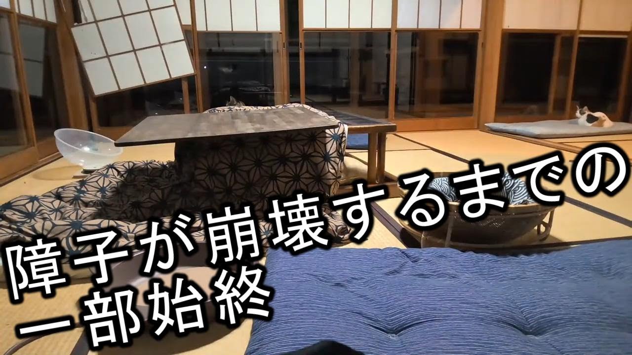 障子が崩壊するまでの一部始終_11月22日