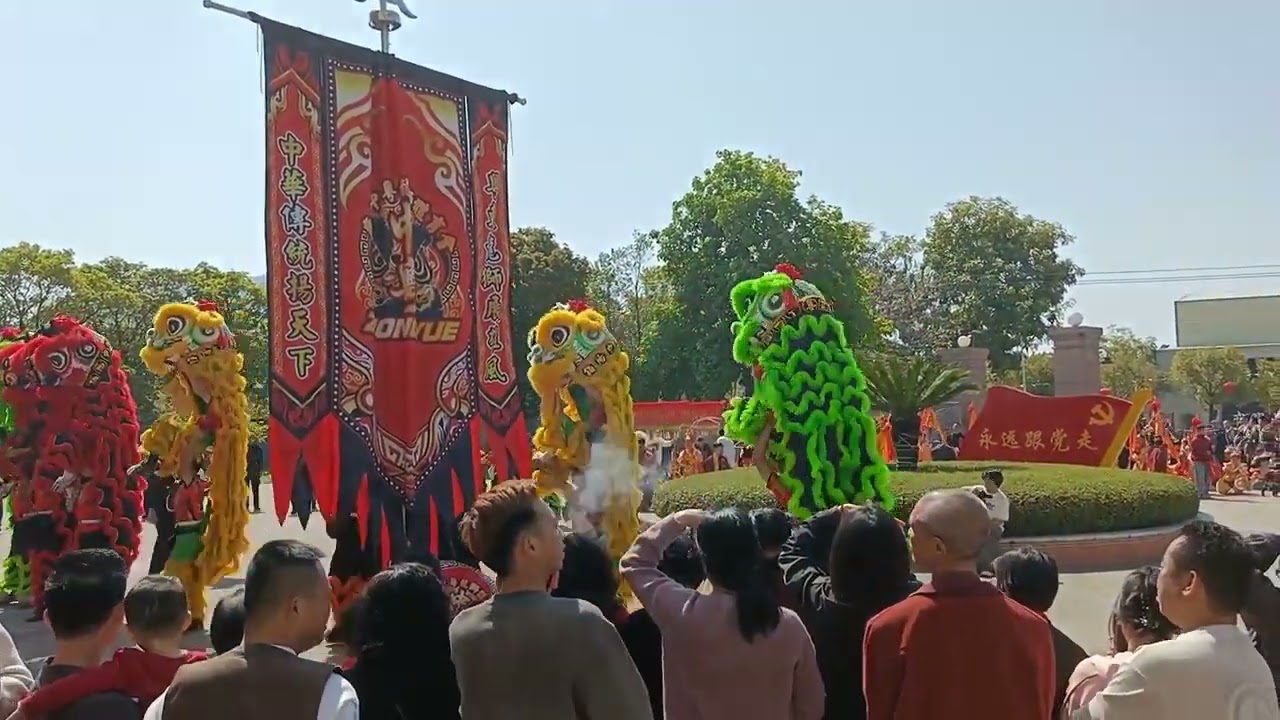 醒狮起舞贺升平！潮汕传统醒狮表演超喜庆｜Joyful Chaoshan Lion Dance Performance #trendingvideo #非物质文化遗产 #非遗文化传承#liondance