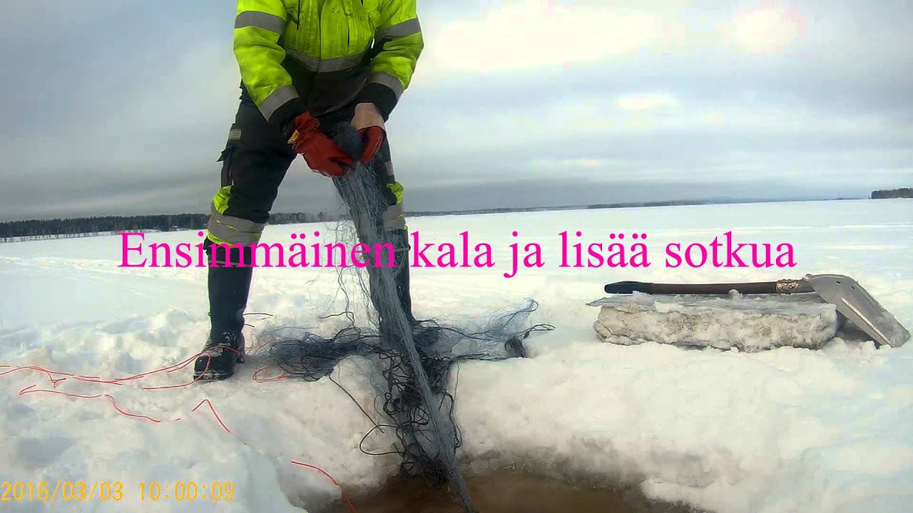 Talviverkoilla / Winter fishnet -2016-