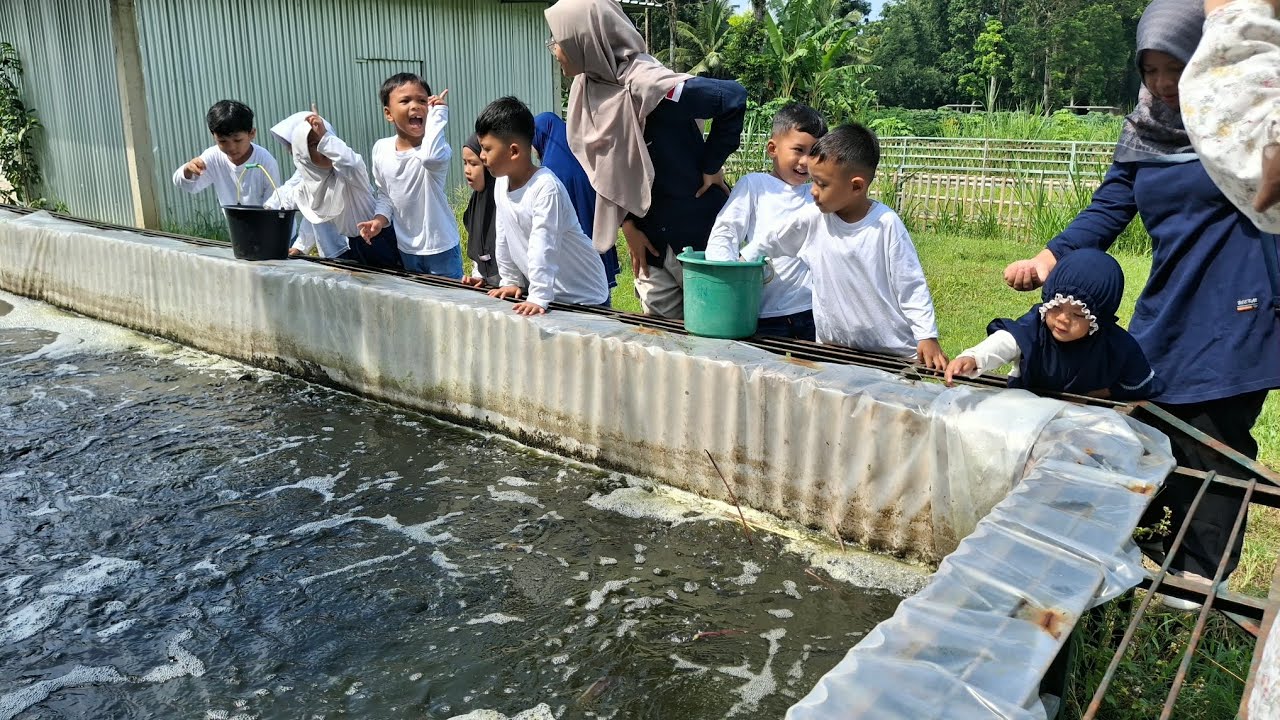 Outing Class Puncak Tema 