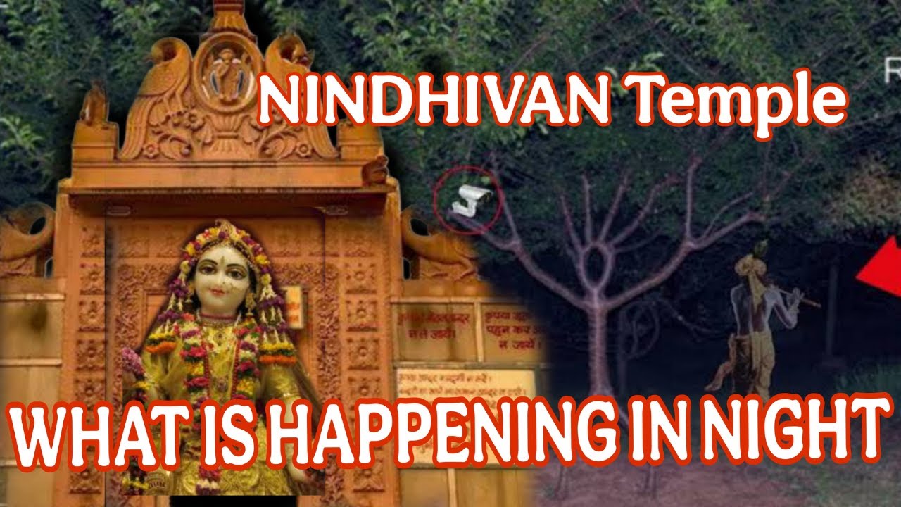 Nidhivan Temple &ndash; The Forbidden Secret of Lord Krishna&rsquo;s Nightly Visit!