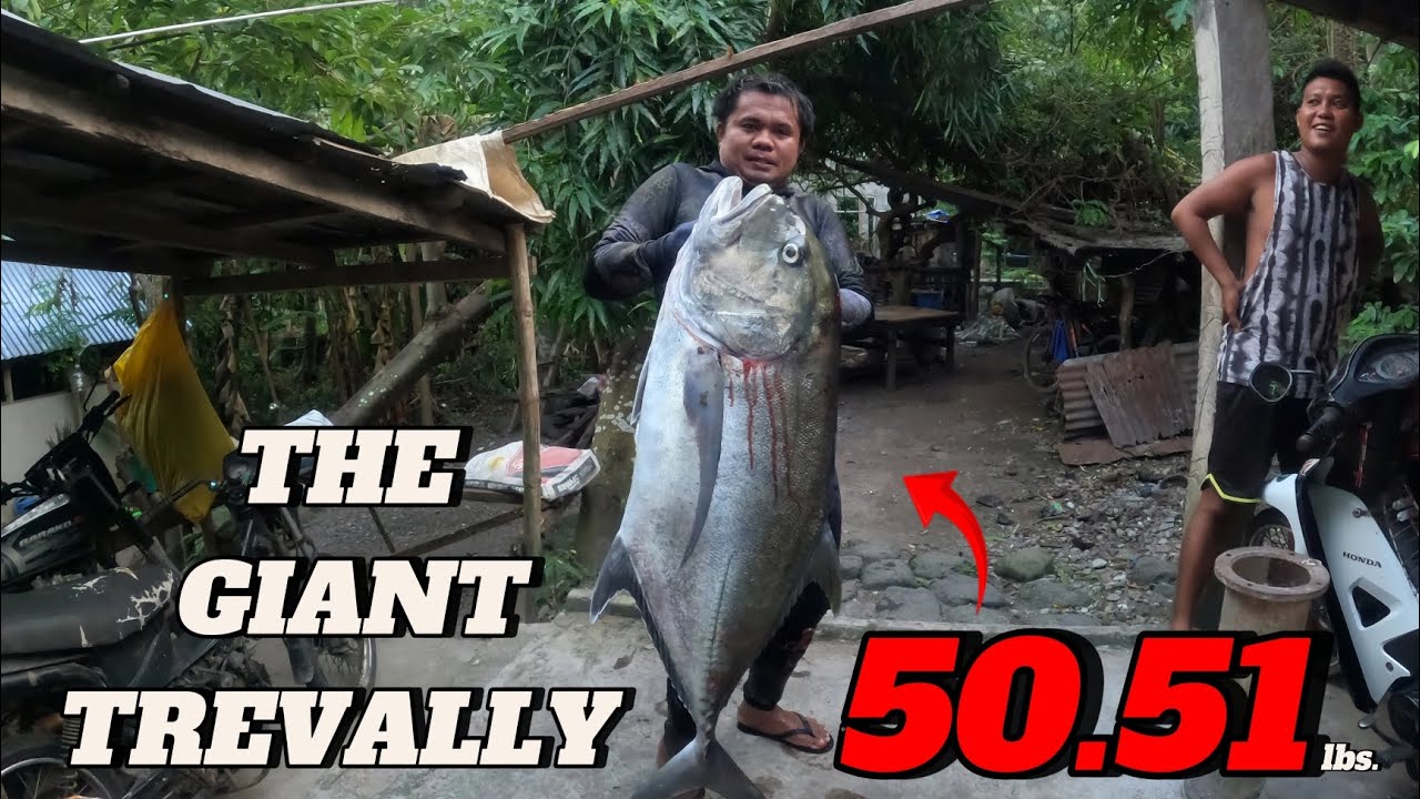 SPEARFISHING PHILIPPINES || THE GIANT TREVALLY || BANTON ROMBLON || MEL SPEARFISHING TV 😱😱🎯