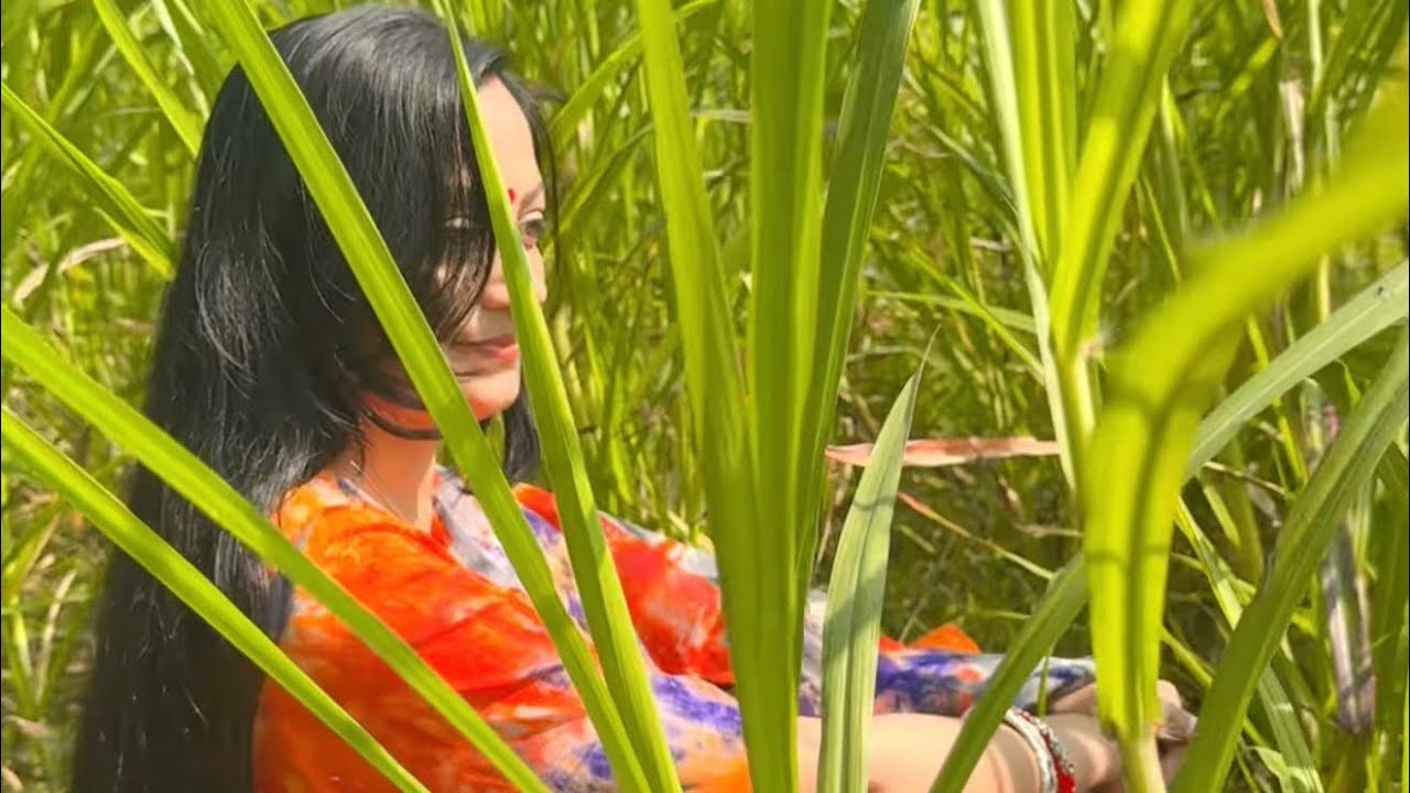সেই ভালো সেই ভালো || কথাঃরবীন্দ্রনাথ ঠাকুর || স্বরলিপিকারঃ দীনেন্দ্রনাথ ঠাকুর|| Sei Valo Sei Valo