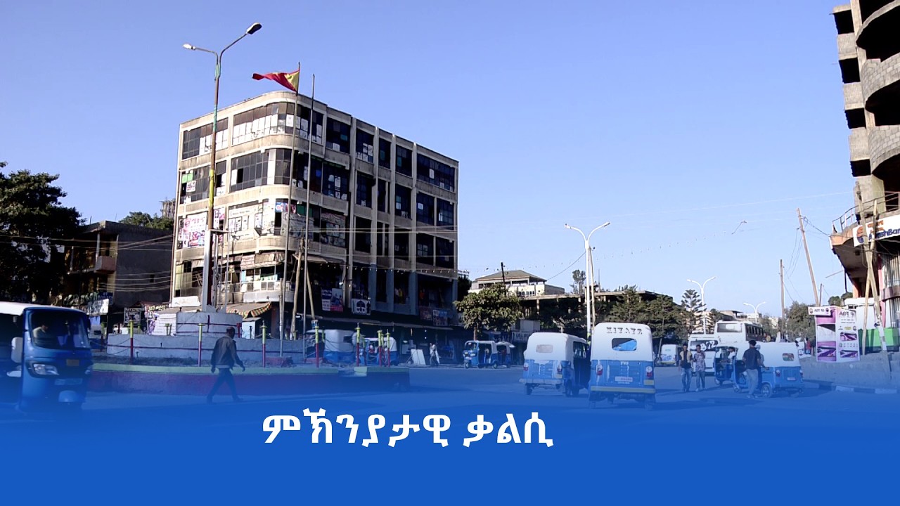 ፍረ ቃልሲ ለካቲት 11 መሰረታዊ ሕቶ ህዝቢ ዝተመለሰሉ እዩ፡- ነባራት ተጋደልቲ ከተማ ኣላማጣ