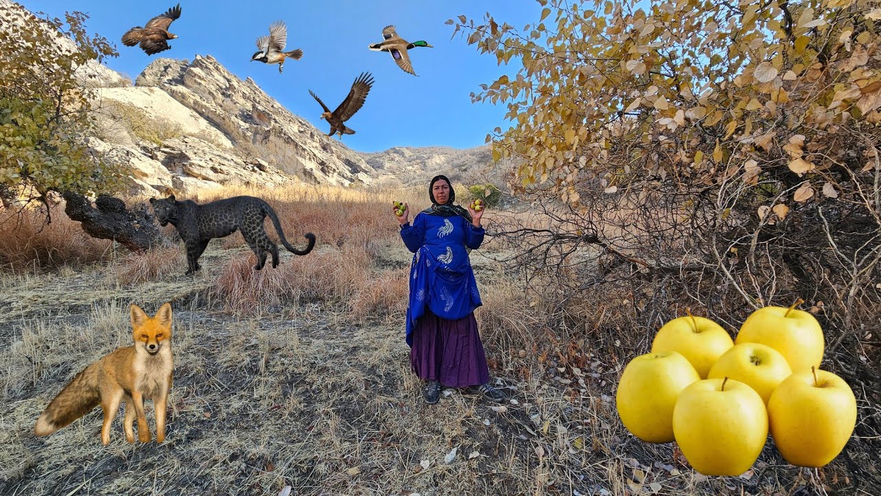 Mysterious Mountains⛰️🦁: Taban in search of tree apples 🍎🍏