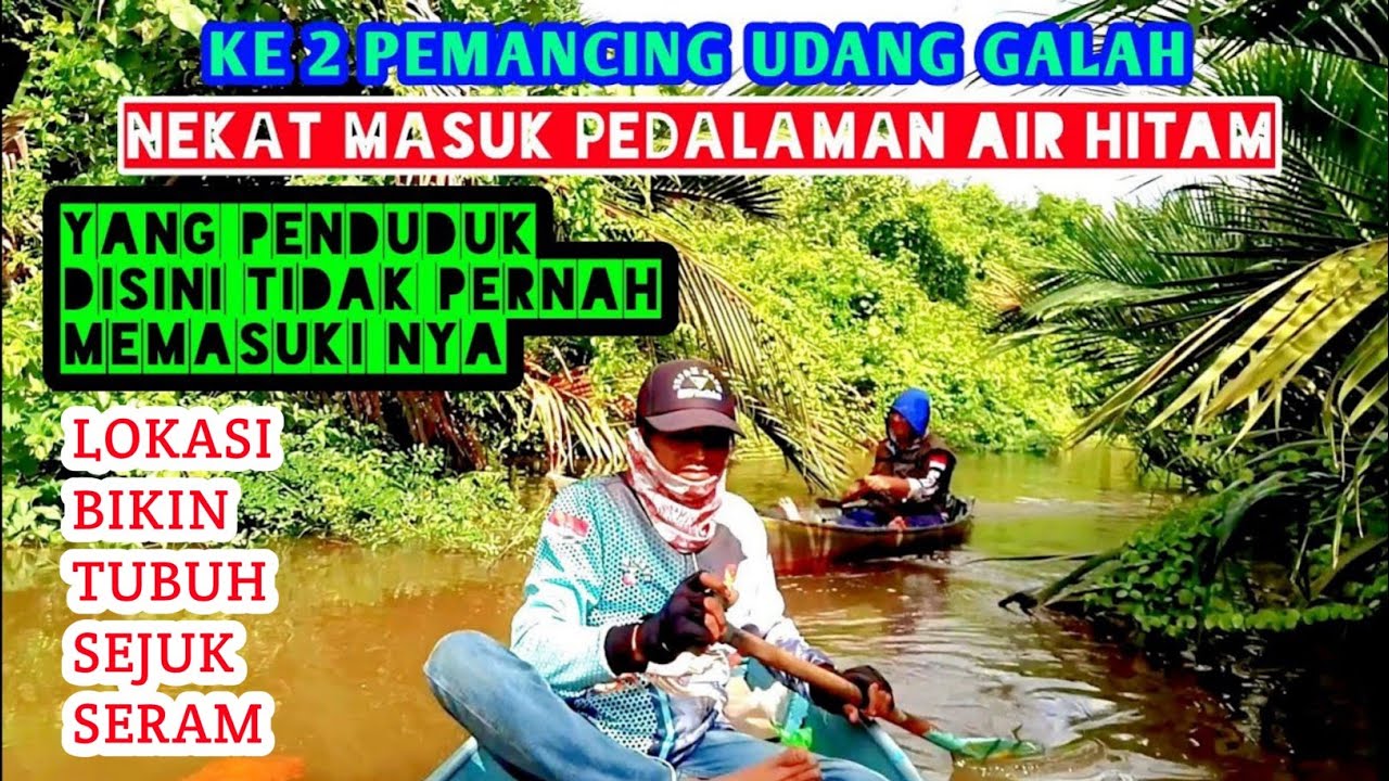 Mancing udang galah perdalaman air hitam bikin tubuh sejuk seram