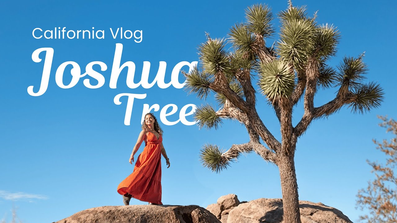 O Silêncio do Deserto: Um Encontro Comigo Mesma em Joshua Tree