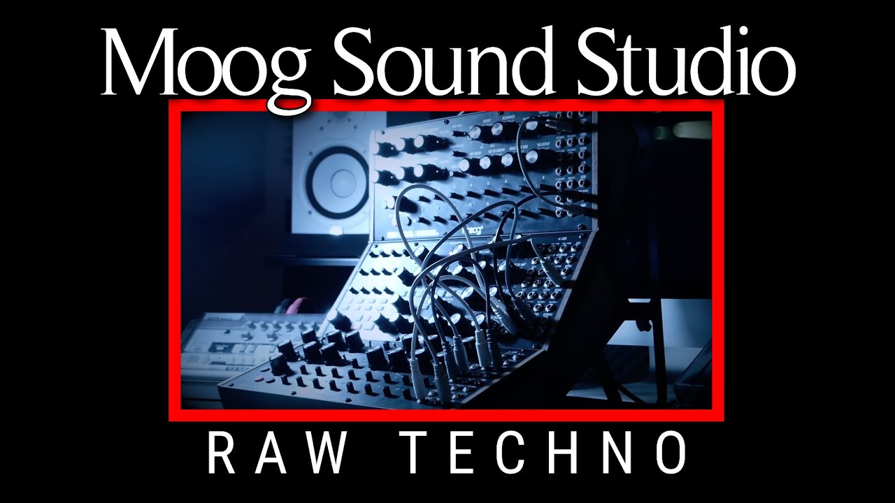 Moog Sound Studio: DFAM + Subharmonicon Raw Techno