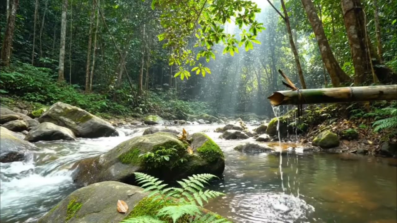 The Most Soothing Bamboo Water Sounds for a Deep and Sound Sleep