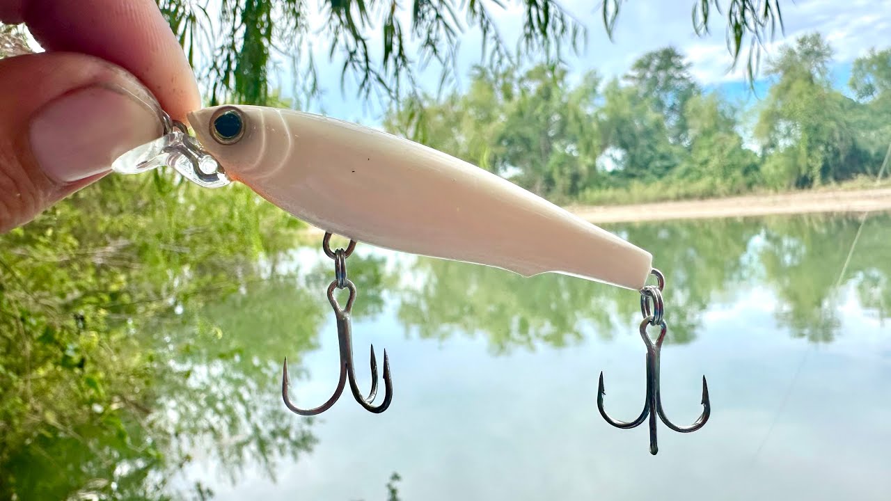 PESCA de RÓBALOS y PARGOS || pescado en RÍO con SEÑUELO YO-ZURI.