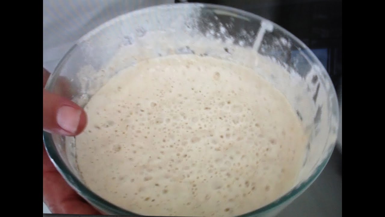Masa madre