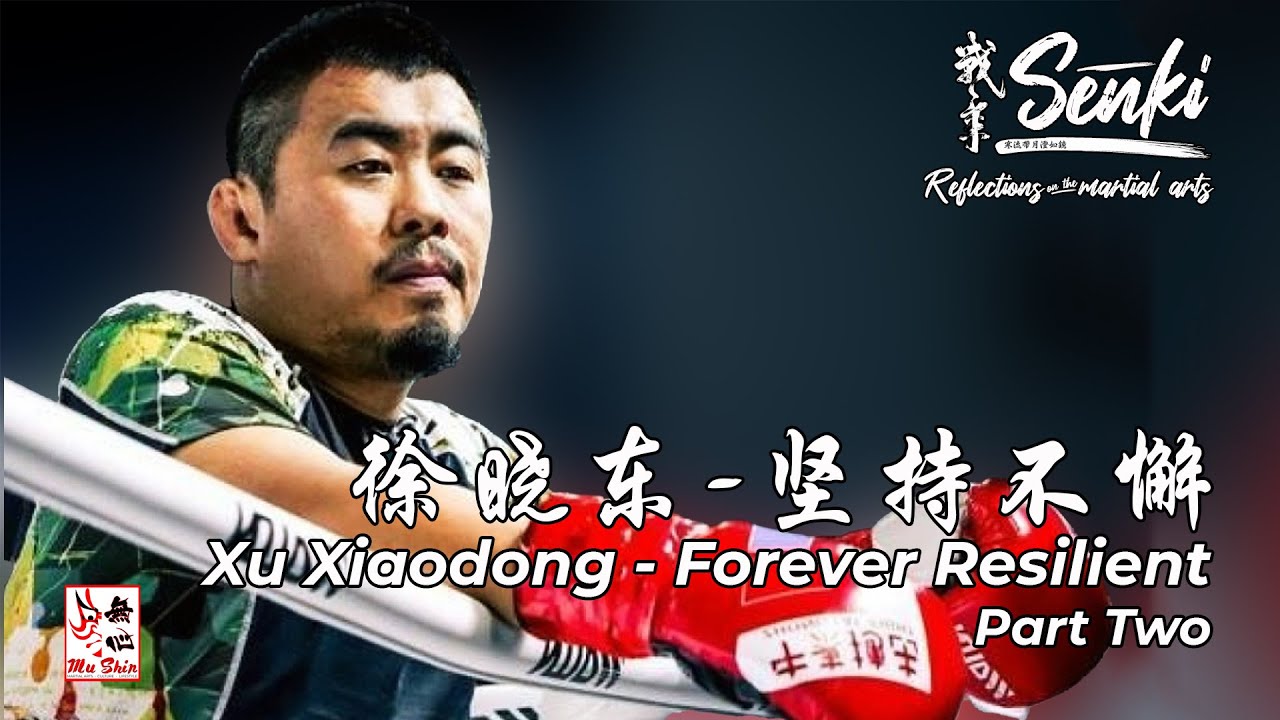 Xu Xiaodong - Forever Resilient - Part Two - Senki - Episode 11
