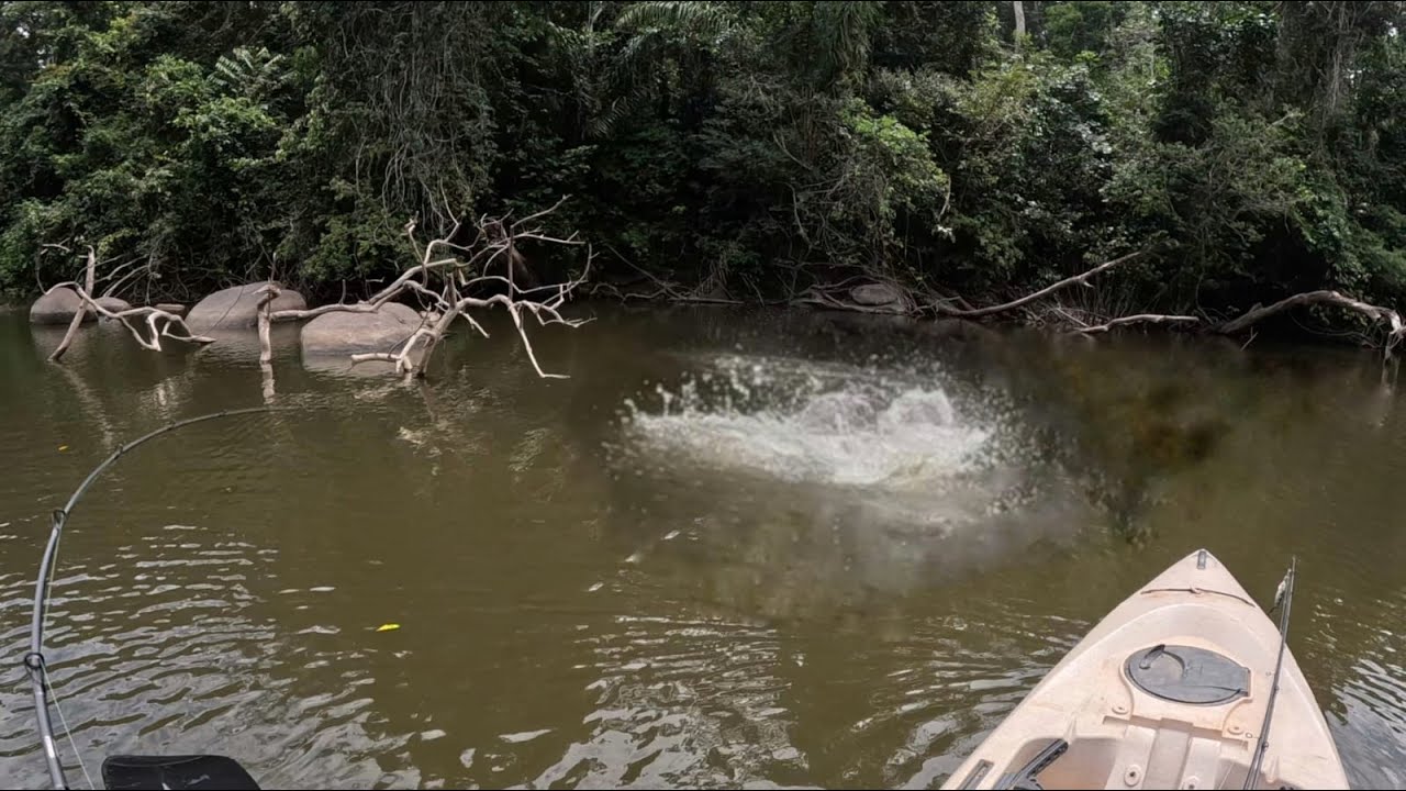 ELE ESTAVA MUITO ÓD10 QUANDO FEZ ISSO, BOTOU PRA PEGAR MESMO - Pescaria de Tucunaré em Roraima