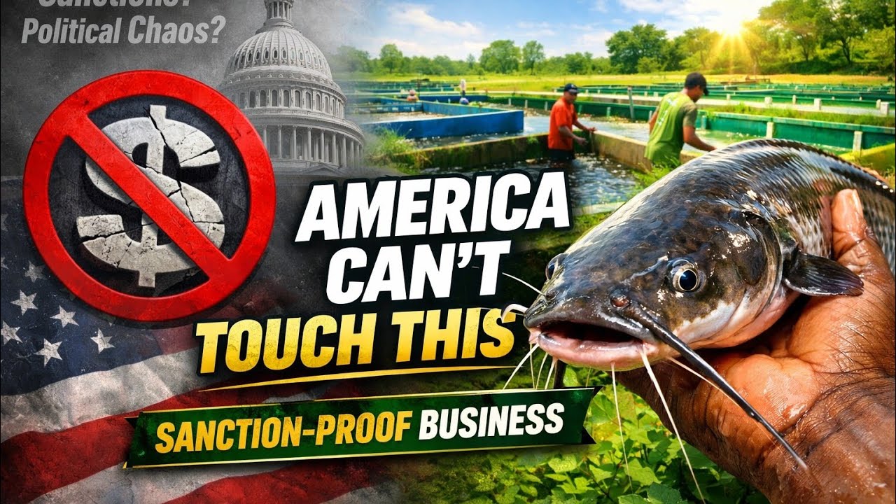 “Why My Nigerian Catfish Farm Is Sanction-Proof (America Can’t Touch This)”