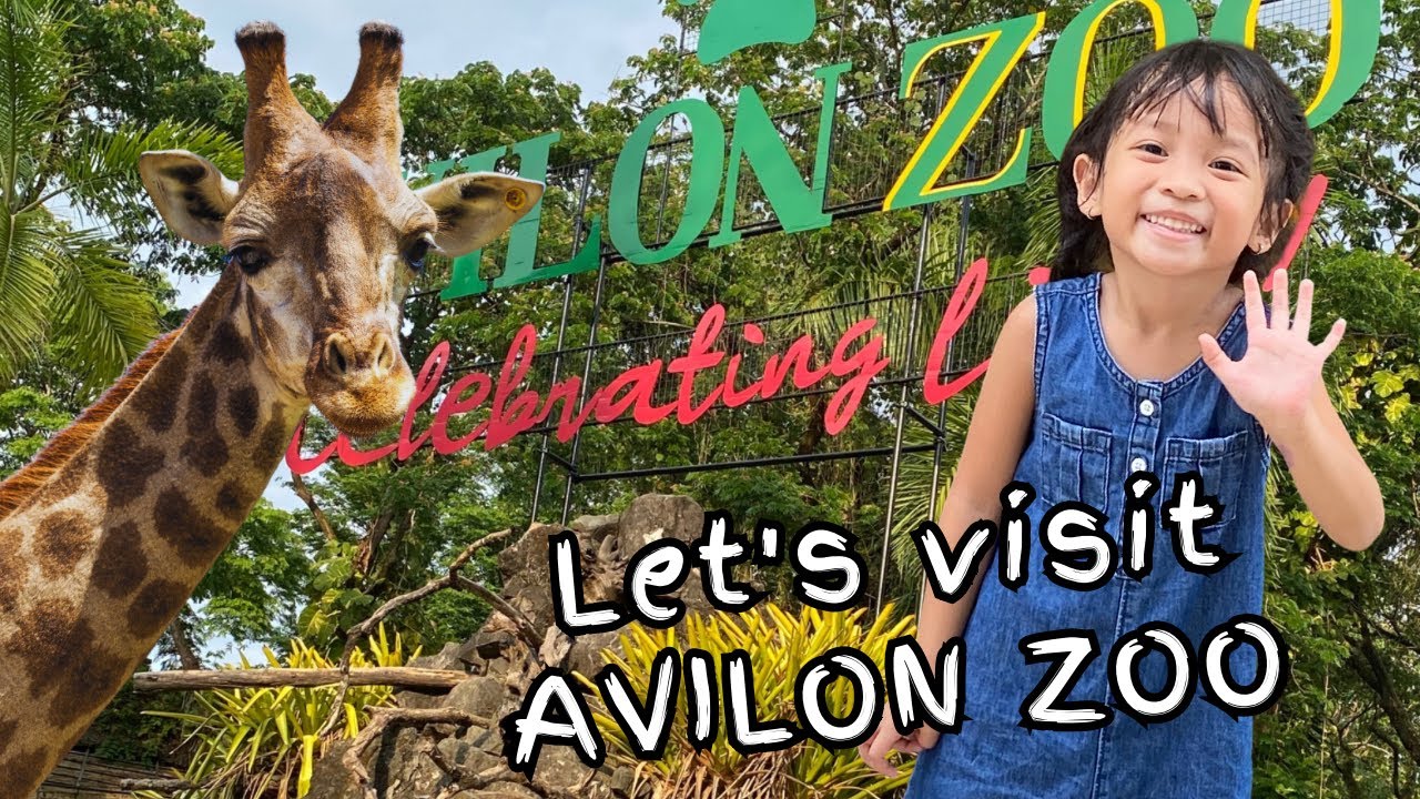 Julian's AVILON ZOO Adventure | The Largest Zoological Institution in the Philippines | April 2023
