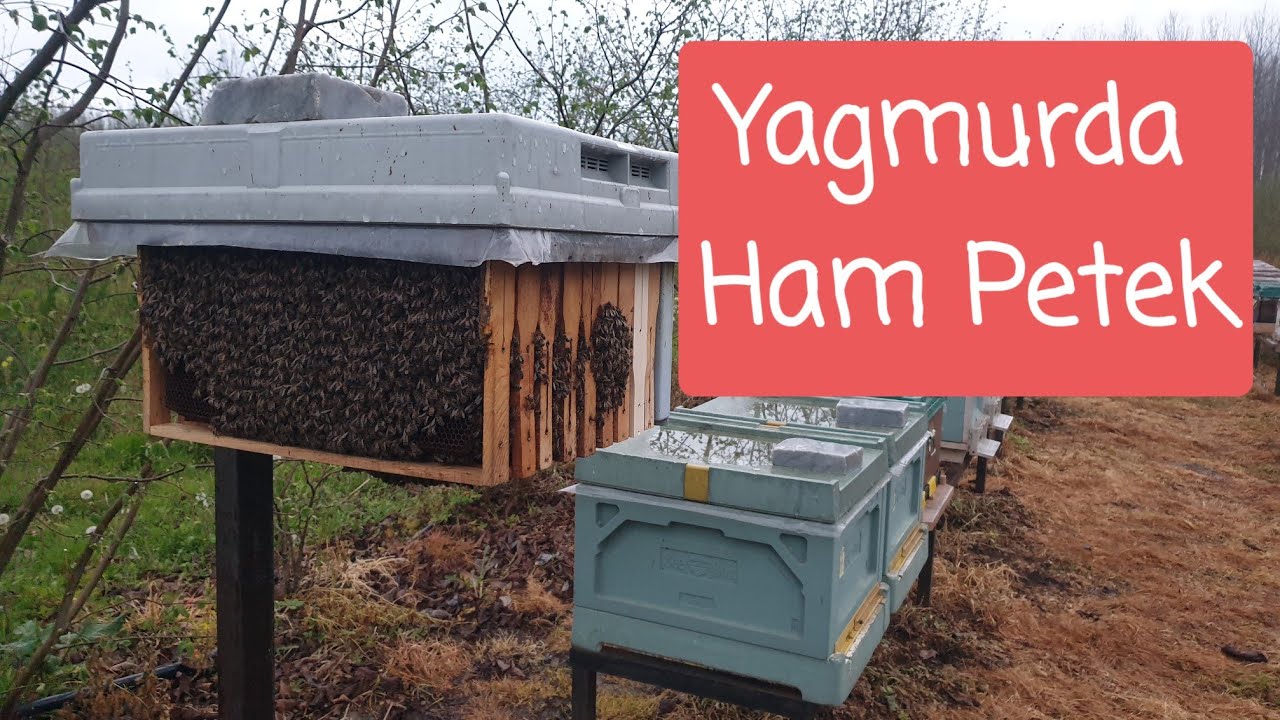 Hep Açıkta Kaldı! || Çarduş-6
