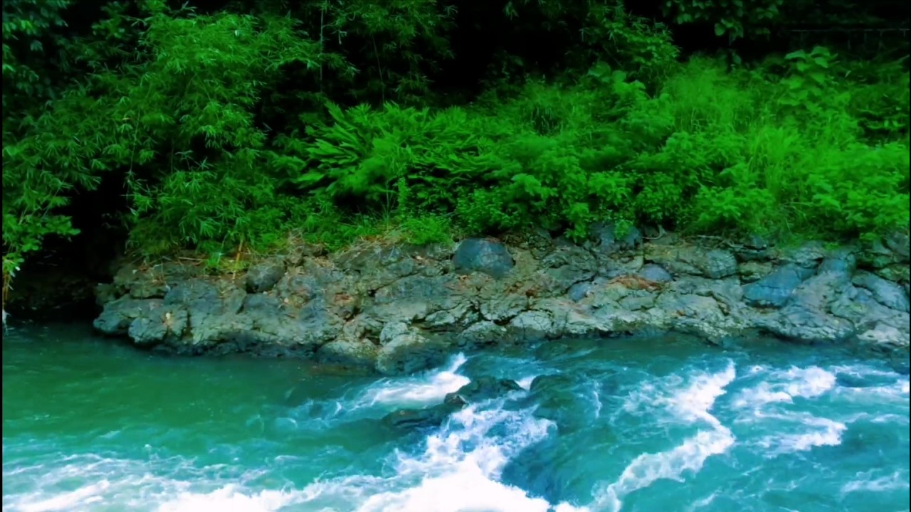 Tranquil River Ambience – Soft Stream and Forest Sounds for Deep Sleep and Inner Peace