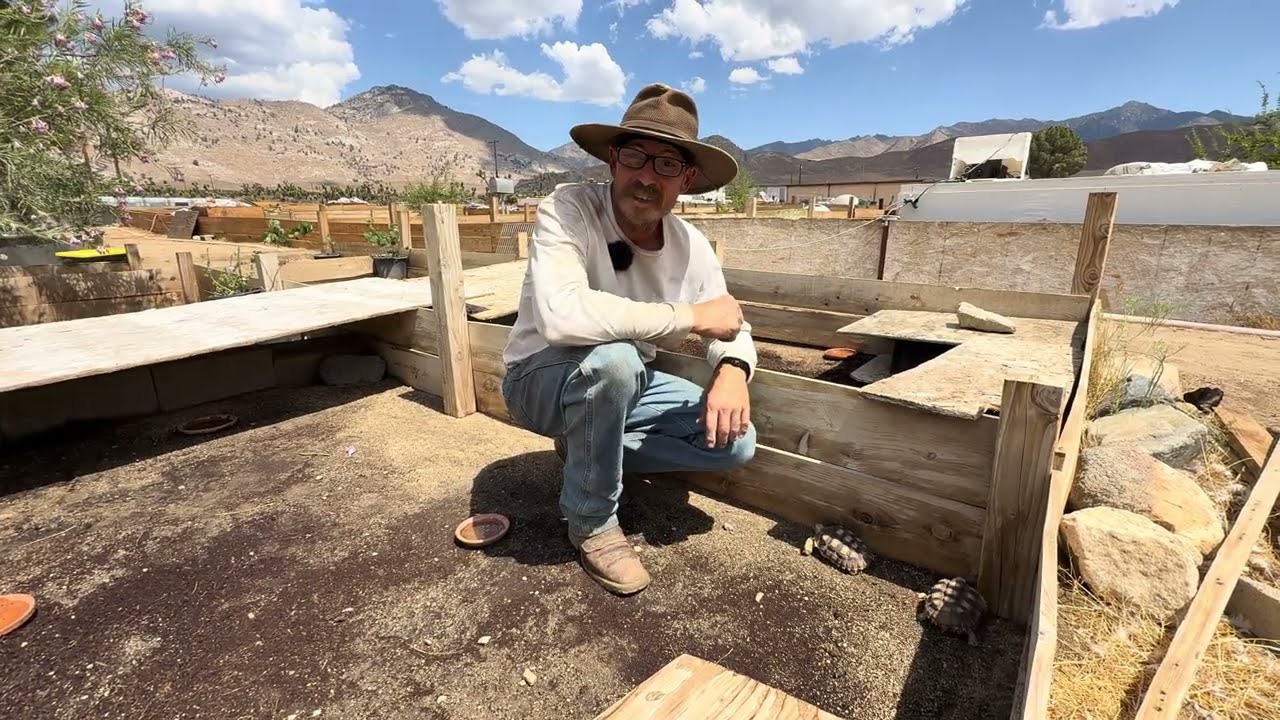 Expanding One of the Largest Tortoise Sanctuaries &mdash; A Forever Home for 200+ Lives #tortoise