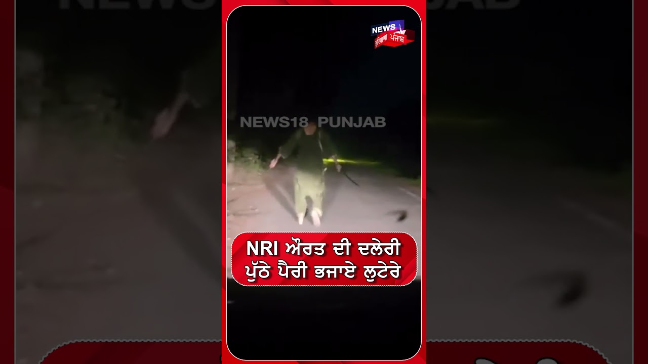 NRI ਔਰਤ ਦੀ ਦਲੇਰੀ ਪੁੱਠੇ ਪੈਰੀਂ ਭਜਾਏ ਲੁਟੇਰੇ | Shorts | N18S