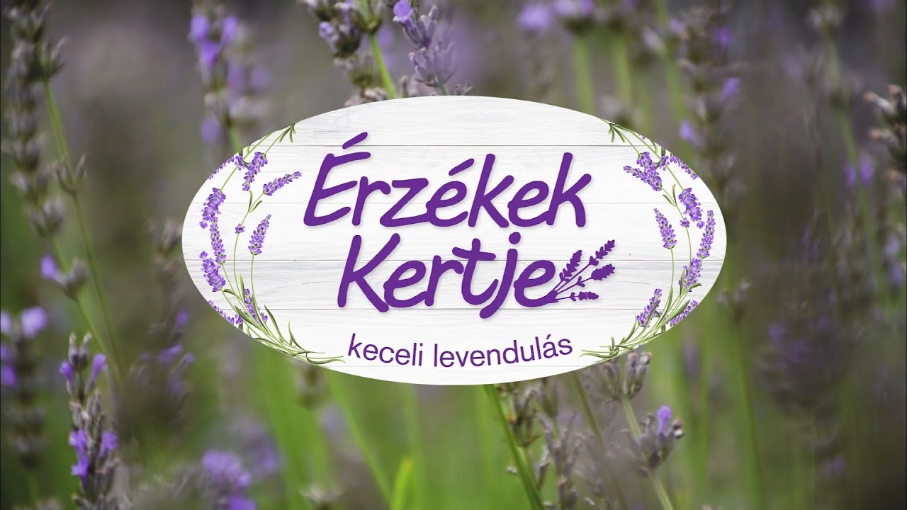 Érzékek Kertje - Keceli Levendulás