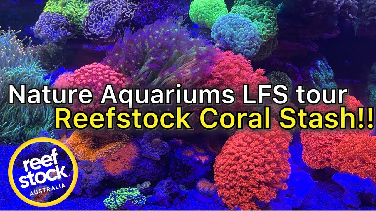 Nature Aquariums LFS Tour! Sneak Peak of Reefstock CORAL STASH!