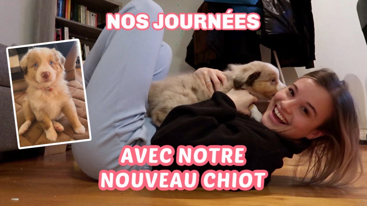 AVOIR UN BÉBÉ CHIOT