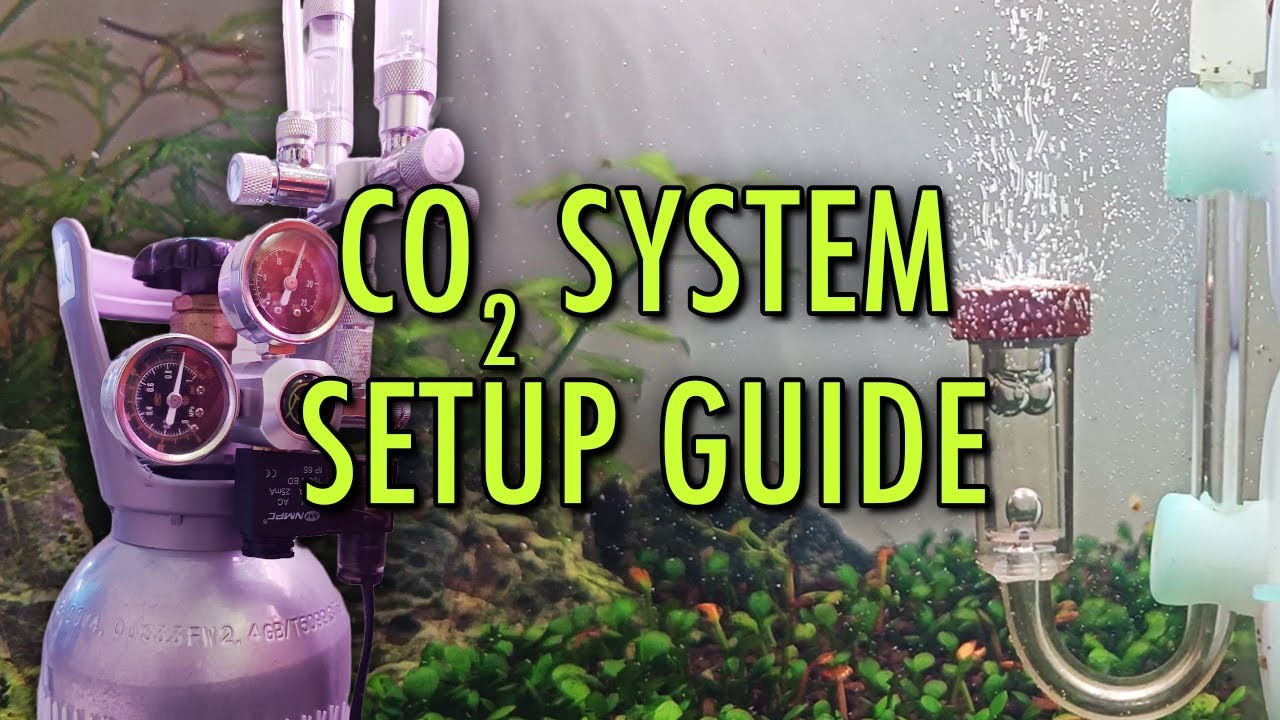 Complete CO2 System Set Up with BRANCHING/SPLITTER and DIFFUSER | TAMIL #co2 #setup #amudhaquascapes