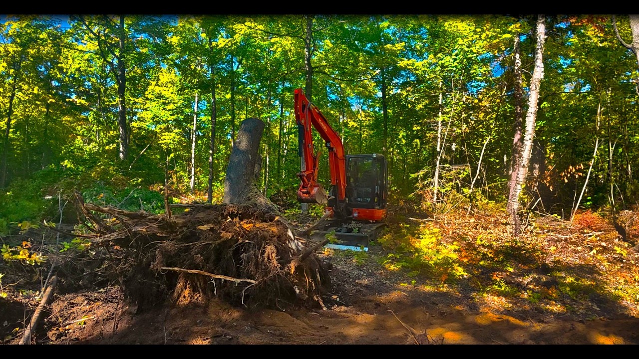Kubota KX040-4 Off-Grid Massive Maple Stump Removal 💪 | My Kubota Works Hard!
