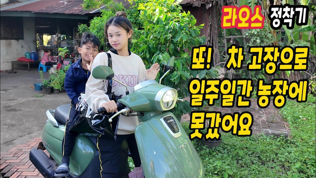 ep562 오랜만에 팍세집 좀 보여드릴게요