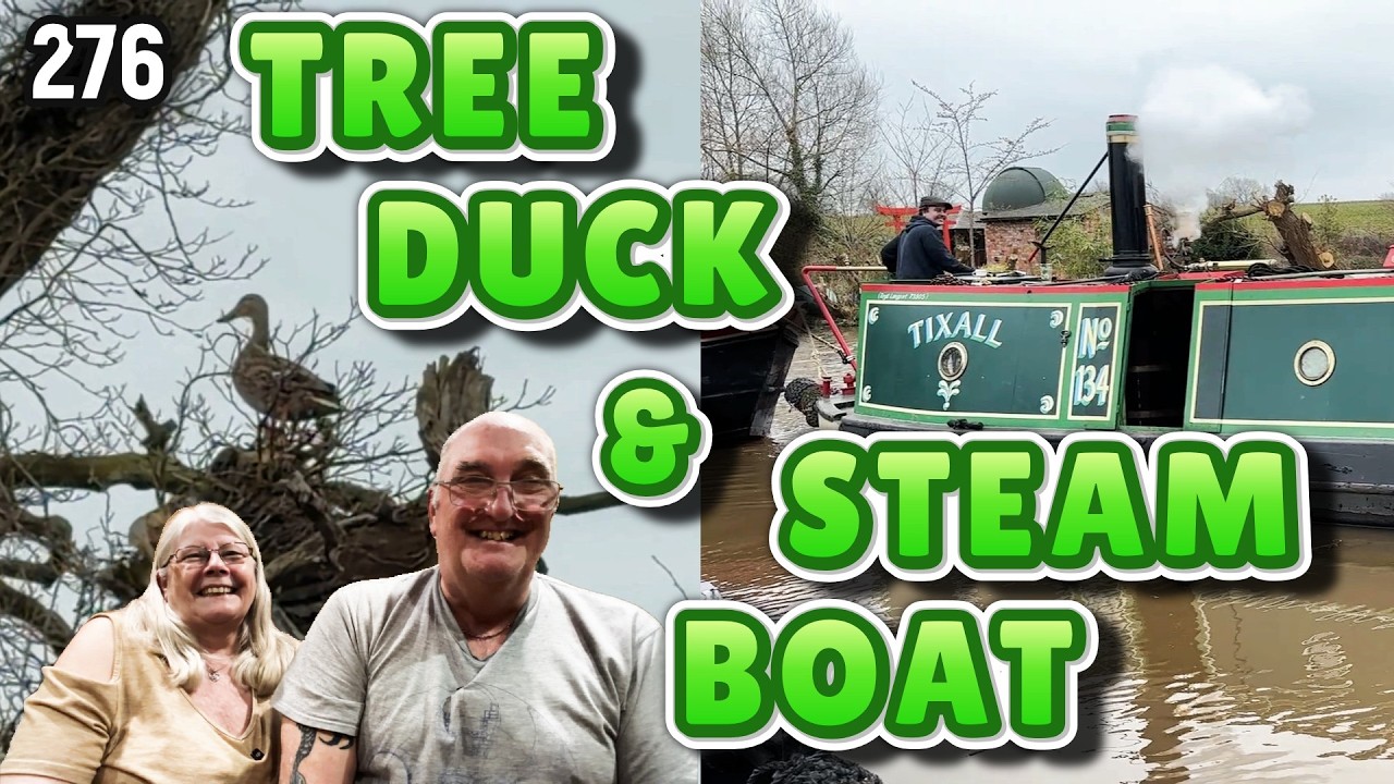276 Tree Duck and a Steam Narrowboat | #LifeOnboardAmyJo