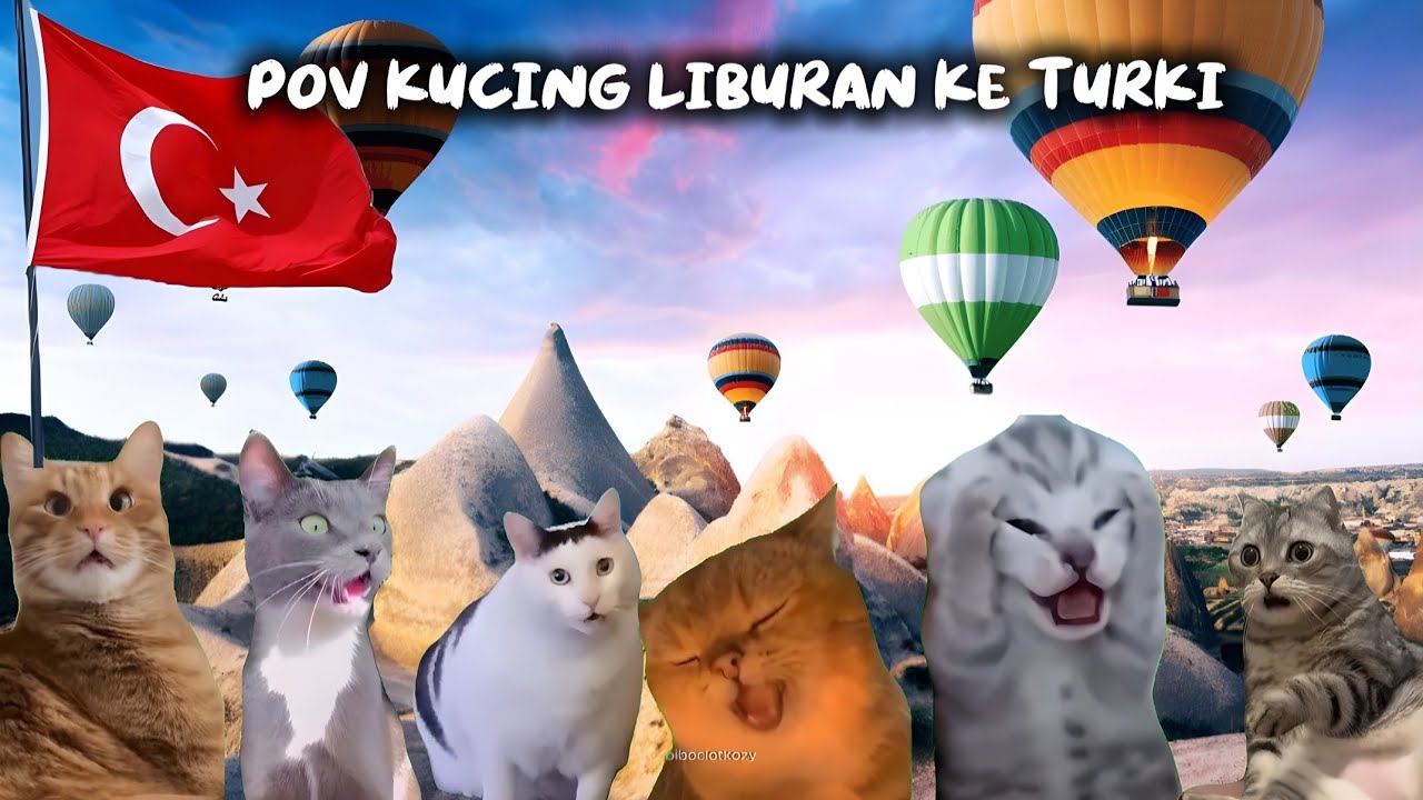 Pov Kucing Liburan ke Turki  | meme kucing lucu #pov #meme #kucing #cat