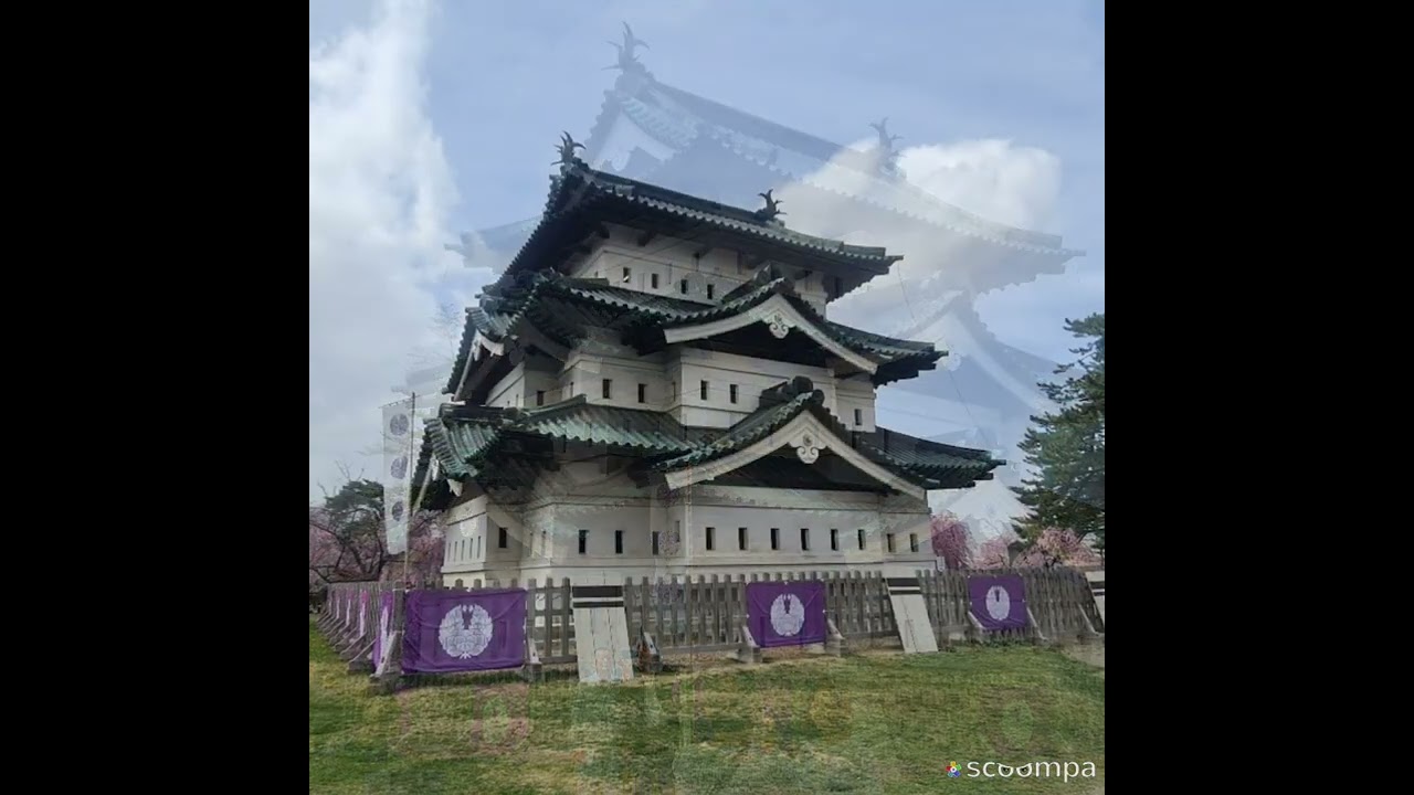 Hirosaki Castle, Aomori, Japan. Cherry blossom @ April 2024. Right timing, location & right moment.🤎