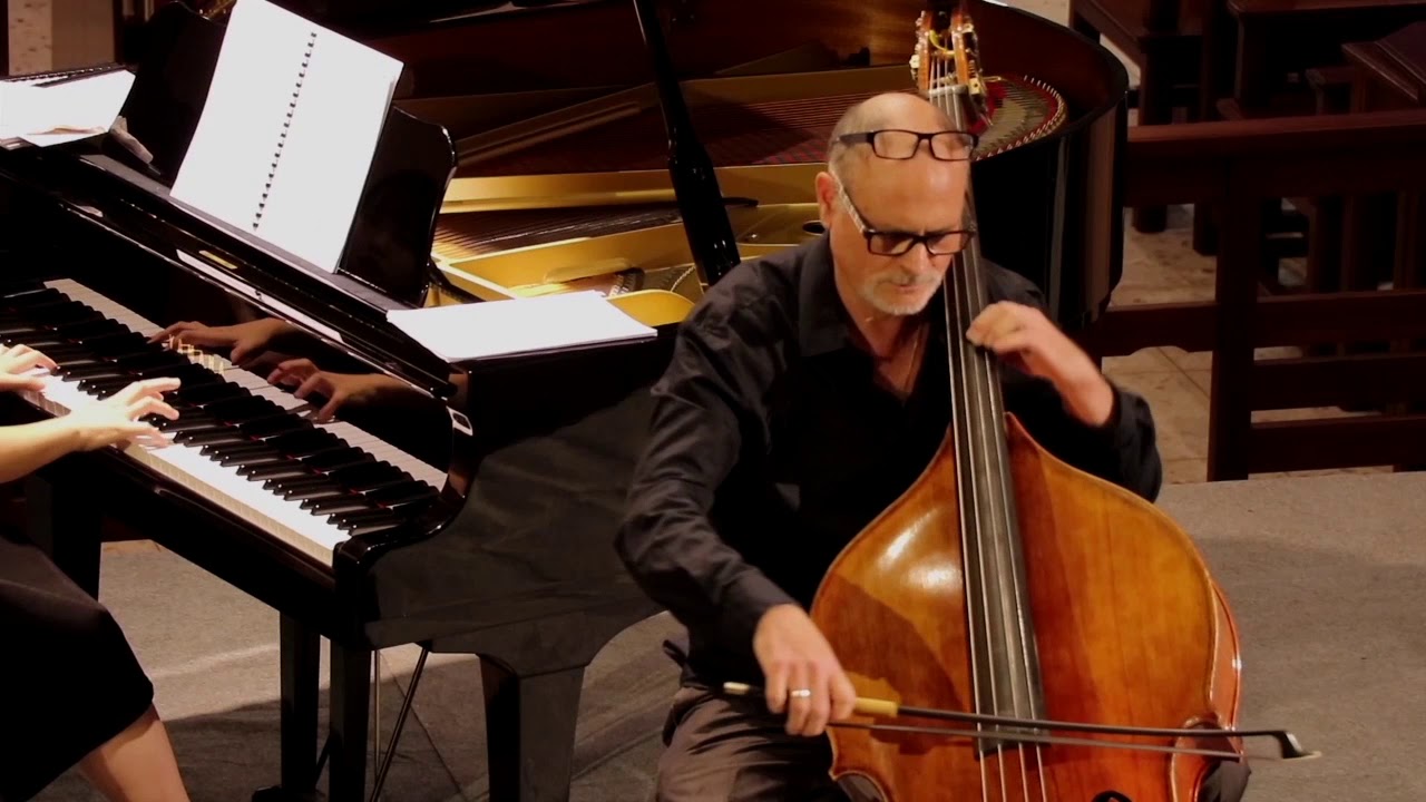 Thierry Barbé plays Vanhall concerto mvt 1